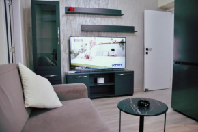Elegant City Apartment